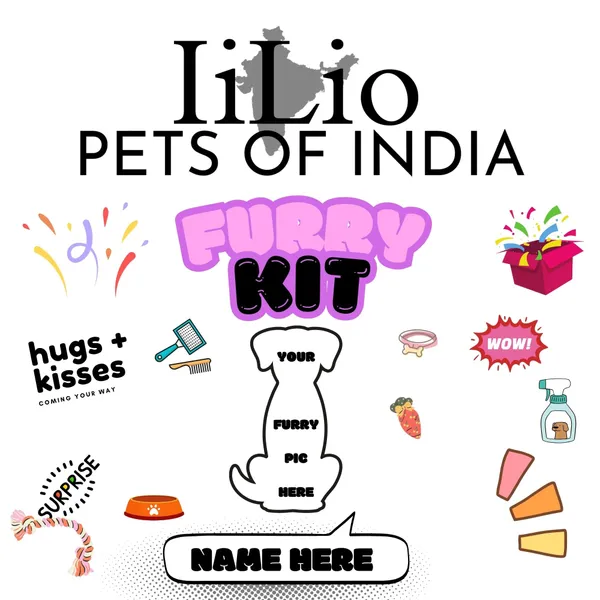Gift_Customized_Pet_Products_Box_With_Essential_Products